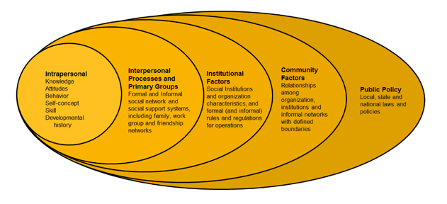 Social Ecological Model - Institutional Level.png