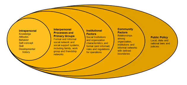 Social Ecological Model Examples